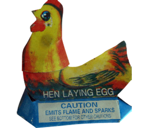 Hen Laying Eggs