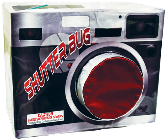 Shutter Bug Fountain